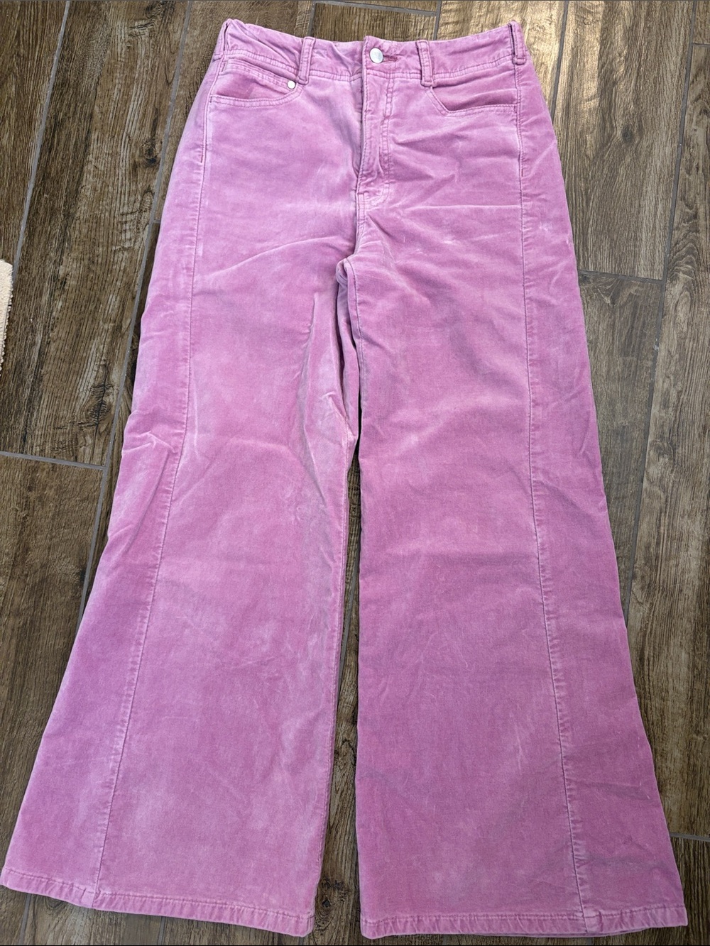 Pilcro Adi Velvet High Rise Flare Jeans